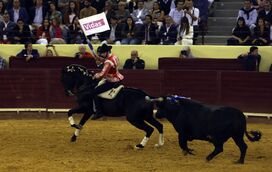 Triunfo, emoção e glamour encheram o Campo Pequeno na grande corrida Vidas/CM
