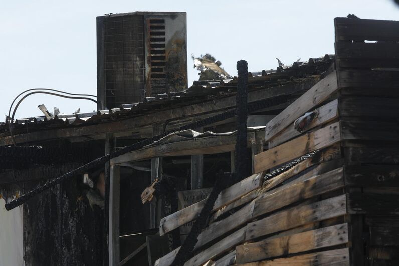 claudia vieira, irmao claudia vieira