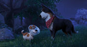 Cena do filme 'As vidas secretas dos nossos animais 2'