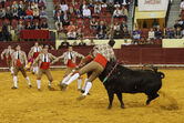 marcos bastinhas