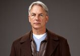 Mark Harmon