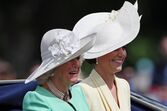 Meghan Markle, Principe Harry, Família real inglesa