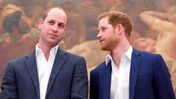 William, Harry , Meghan e Kate