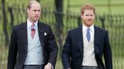 William, Harry , Meghan e Kate