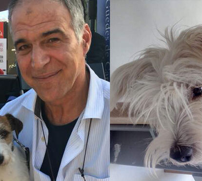Ainda em sofrimento com a morte de Spike, Rodrigo Guedes de Carvalho adopta novo cão: 'Apresento-vos o Frankie'