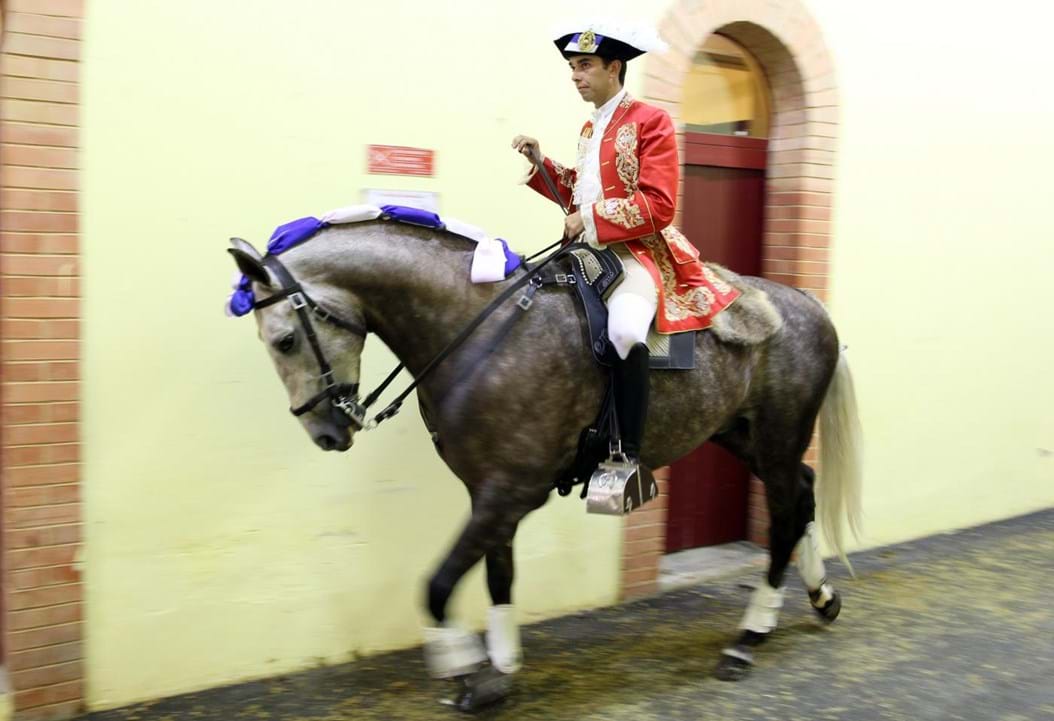 Inferno! Xeque-Mate é o 2.º cavalo de João Moura Jr que morre nas praças de  toiros - Nacional - FLASH!