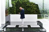 Avicii