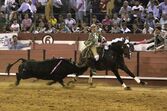 João Moura Júnior, cavaleiro, toureiro, tourada, xeque-mate, cavalo, abatido, colhida, coruche, praça de toiros, ana batista