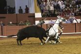 João Moura Júnior, cavaleiro, toureiro, tourada, xeque-mate, cavalo, abatido, colhida, coruche, praça de toiros, ana batista