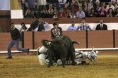 João Moura Júnior, cavaleiro, toureiro, tourada, xeque-mate, cavalo, abatido, colhida, coruche, praça de toiros, ana batista