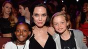 Brad Pitt e Angelina Jolie e a família