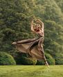 Gisele Bündchen, tom brady, filha, salto, cascata, perigo, vivi