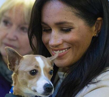 Está decidida e não se deixa demover! Meghan Markle quer aumentar a família