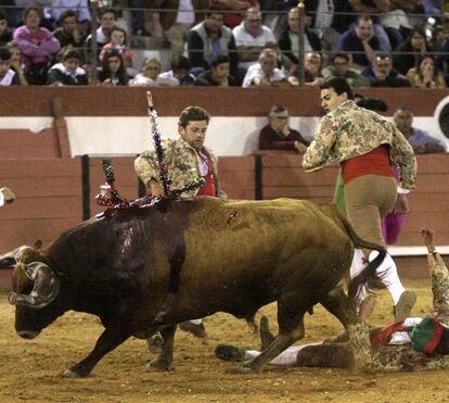 Após terror na arena de Coruche, João Moura Jr. em choque com morte de cavalo estrela