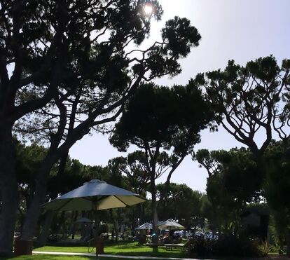 Quem pode, pode! Cláudia Vieira goza férias de luxo em família em resort no Algarve