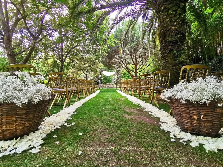 casamento carla baía,