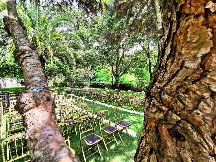 casamento carla baía,