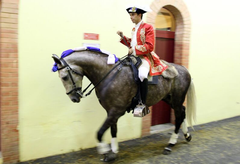 João Moura Jr, cavaleiro, toureiro, campo pequeno