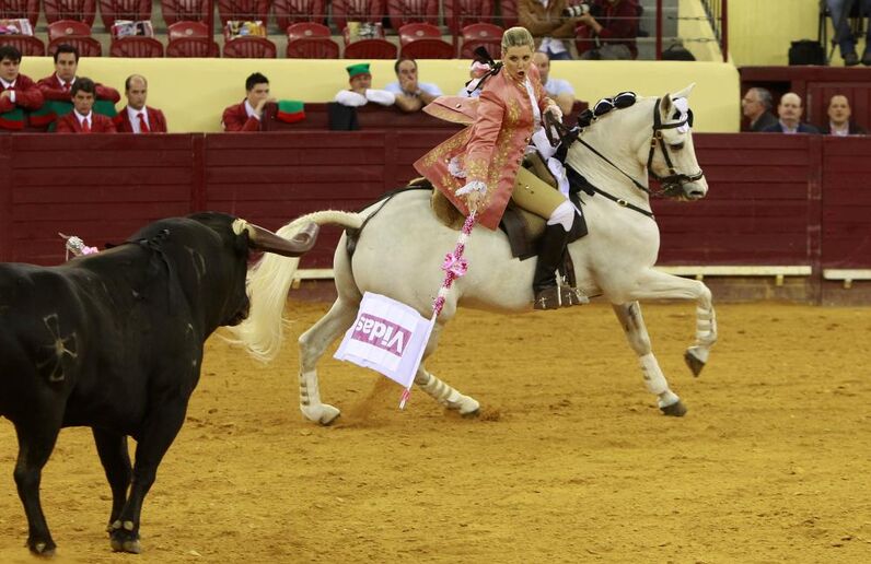 Ana Batista, cavaleira, toureira, salvaterra de magos