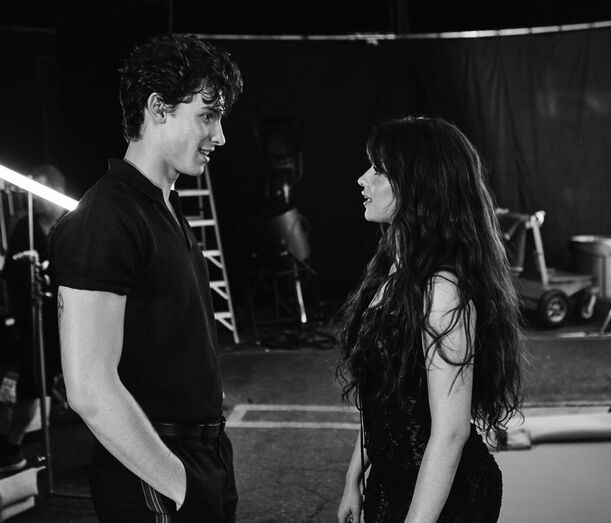 Camila Cabello, Shawn Mendes
