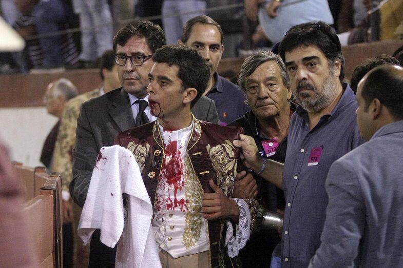 João Moura Júnior, cavaleiro, toureiro, tourada, xeque-mate, cavalo, abatido, colhida, coruche, praça de toiros, ana batista