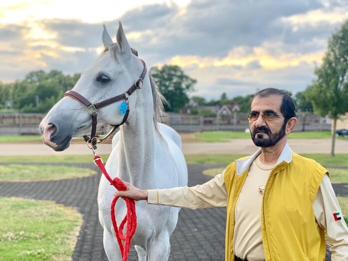 Emir dubai, Mohammed bin Rashid al Maktoum