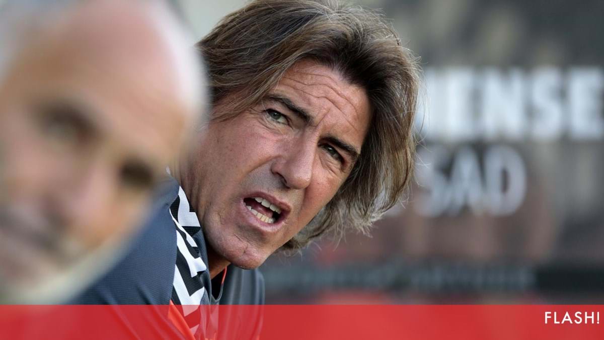 Ex-treinador do Vasco, Ricardo Sá Pinto é expulso no campeonato iraniano e  causa confusão em campo; veja vídeo - Vasco - Extra Online