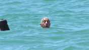 Marcelo Rebelo de Sousa, Presidente da República, algarve, netos, quinta do lago, gigi