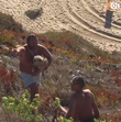 Eduardo Madeira, Joana Madeira, férias, praia, ravina. salvamento, cão, perigo