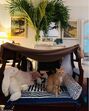 India Hicks