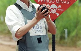 O projeto especial que liga o príncipe Harry e a princesa Diana