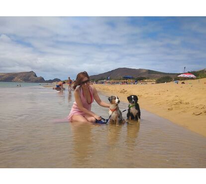 Ataque! De férias no Porto Santo, estilista Fátima Lopes arrasada por levar os cães à praia 