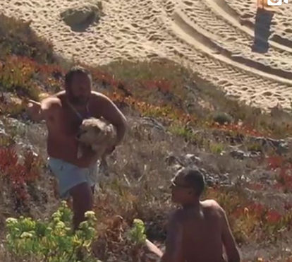 Herói! Ator Eduardo Madeira desce a uma ravina para salvar cão em perigo