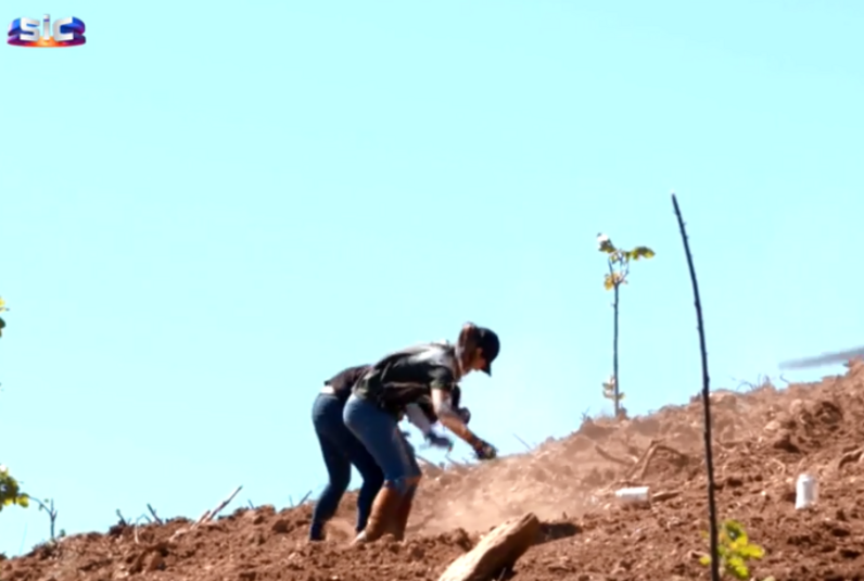 Quem Quer namorar com o agricultor, agricultor sic, sic, miguel Pereira, padrela, Vera Barbosa, Cátia Lopes