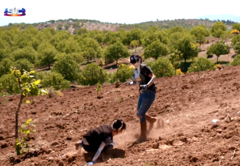 Quem Quer namorar com o agricultor, agricultor sic, sic, miguel Pereira, padrela, Vera Barbosa, Cátia Lopes