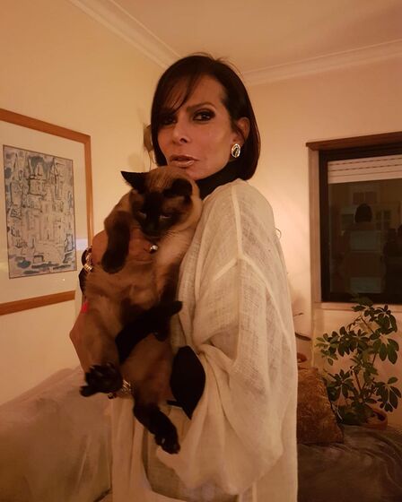 José Castelo Branco, Bicha Justiceira