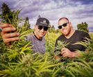Meghan Markle, Harry, inglaterra, grã-bretanha, cannabis, marijuana, droga, primo, família, duques de sussex