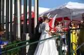 paula marcelo, casamento