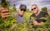 Meghan Markle, Harry, inglaterra, grã-bretanha, cannabis, marijuana, droga, primo, família, duques de sussex