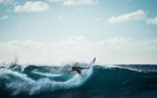 Surfista, onda, praia, surf, sol, mar