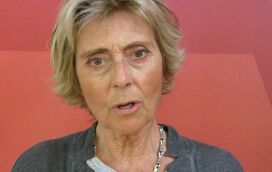 Os dias difíceis de Ana Zanatti