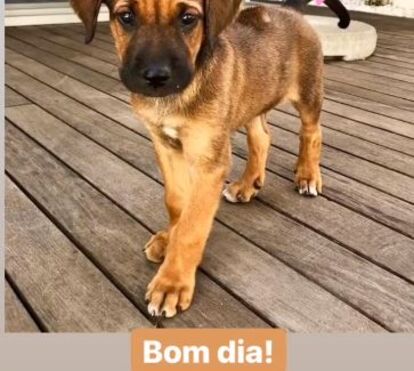 Catarina Furtado adota bebé e mostra as fotos 