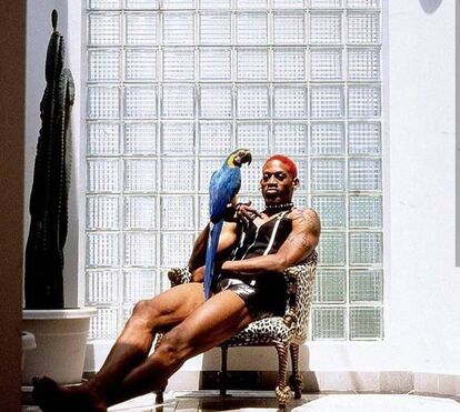 Inacreditável! Madonna oferece 20 milhões por noite de sexo escaldante com Dennis Rodman... se engravidasse