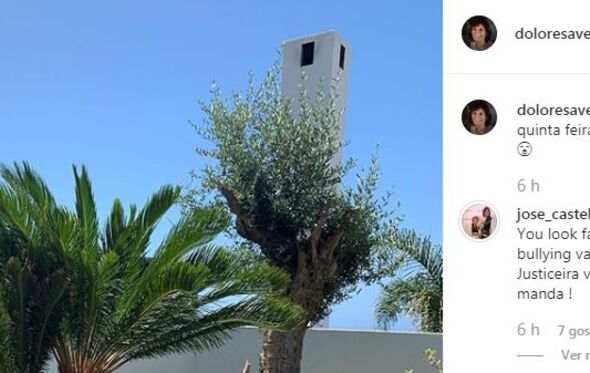 José Castelo Branco sai em defesa de Dolores Aveiro