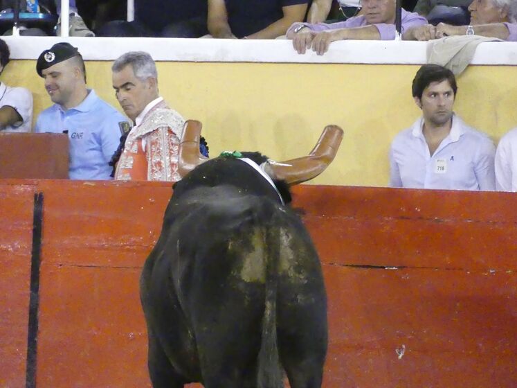 Fernando Clemente, fotógrafo, festas da moita, tourada, toiros, escalpe, prognóstico reservado