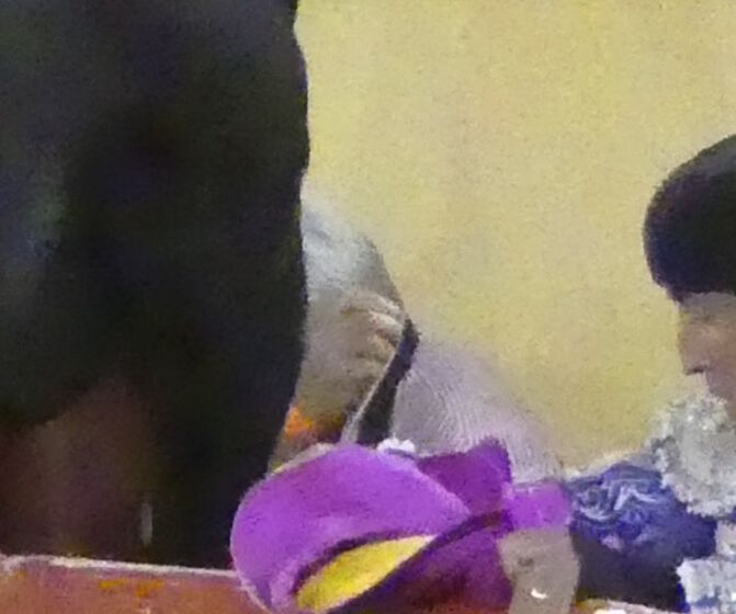 Fernando Clemente, fotógrafo, festas da moita, tourada, toiros, escalpe, prognóstico reservado