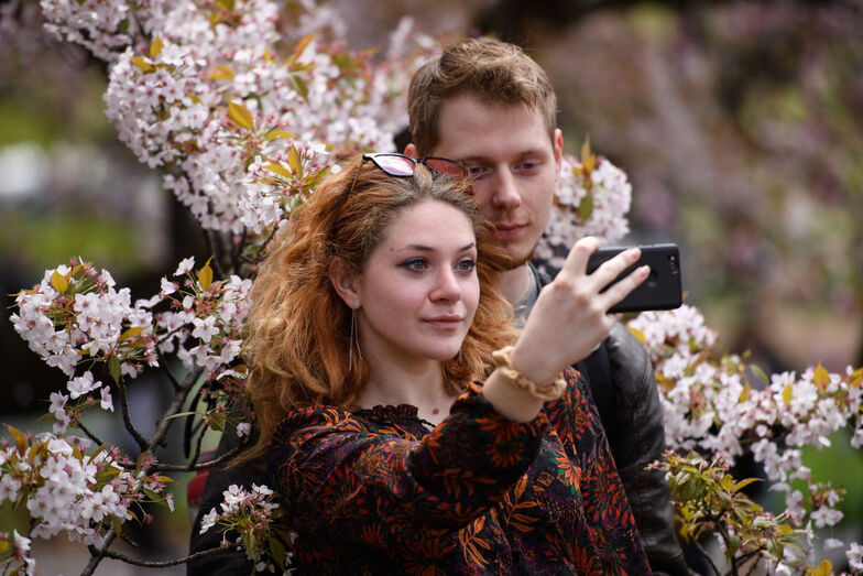 mullher, homem, casal, romance, selfie, flores, romântico