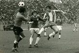 Fernando Gomes