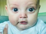Oliver, Jessica Athayde, Diogo Amaral