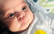 Oliver, Jessica Athayde, Diogo Amaral
